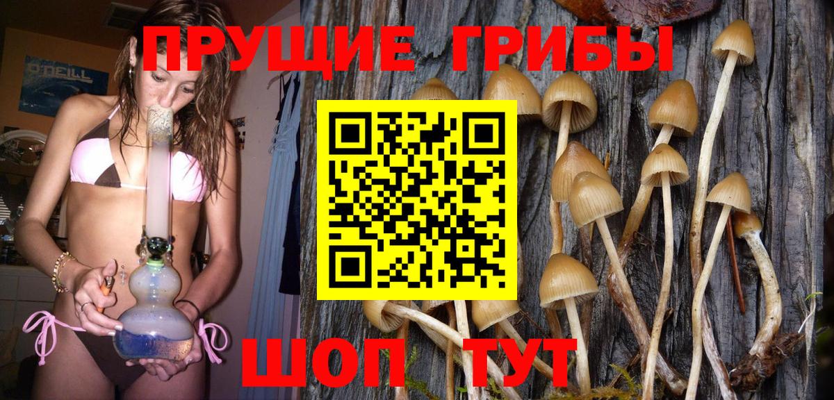 Галлюциногенные грибы мухоморы Кондопога