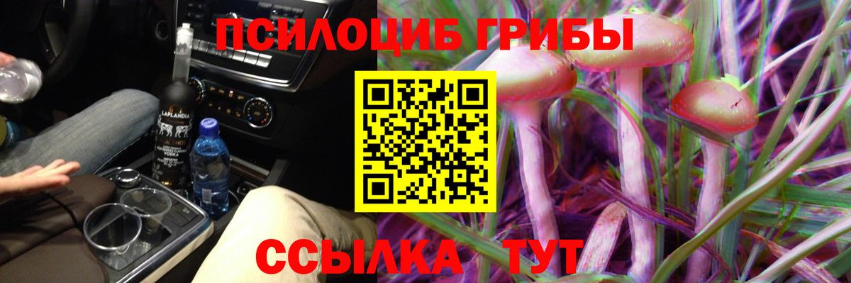 Кондопога  Псилоцибиновые грибы мицелий  Вход с VPN 